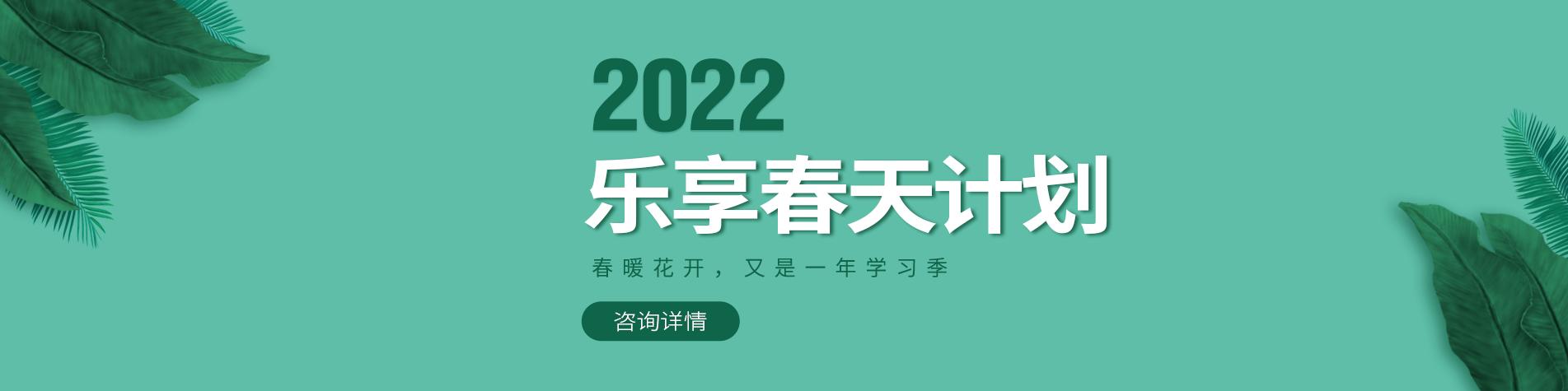 大鸡巴艹在线观看免费高清